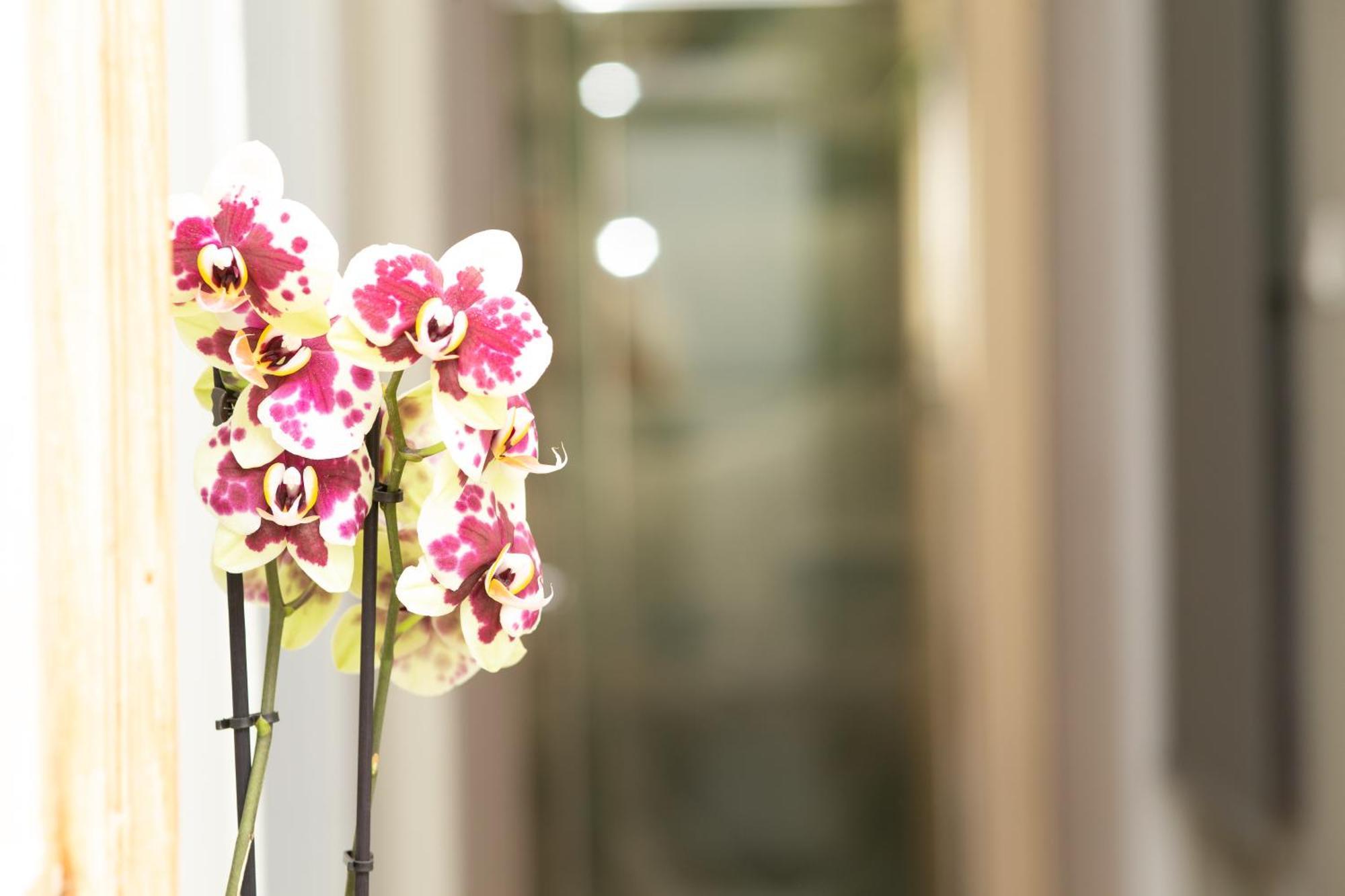 Prestige Penthouse - Breathtaking Parthenon Views In Plaka Apartment Athens Ngoại thất bức ảnh